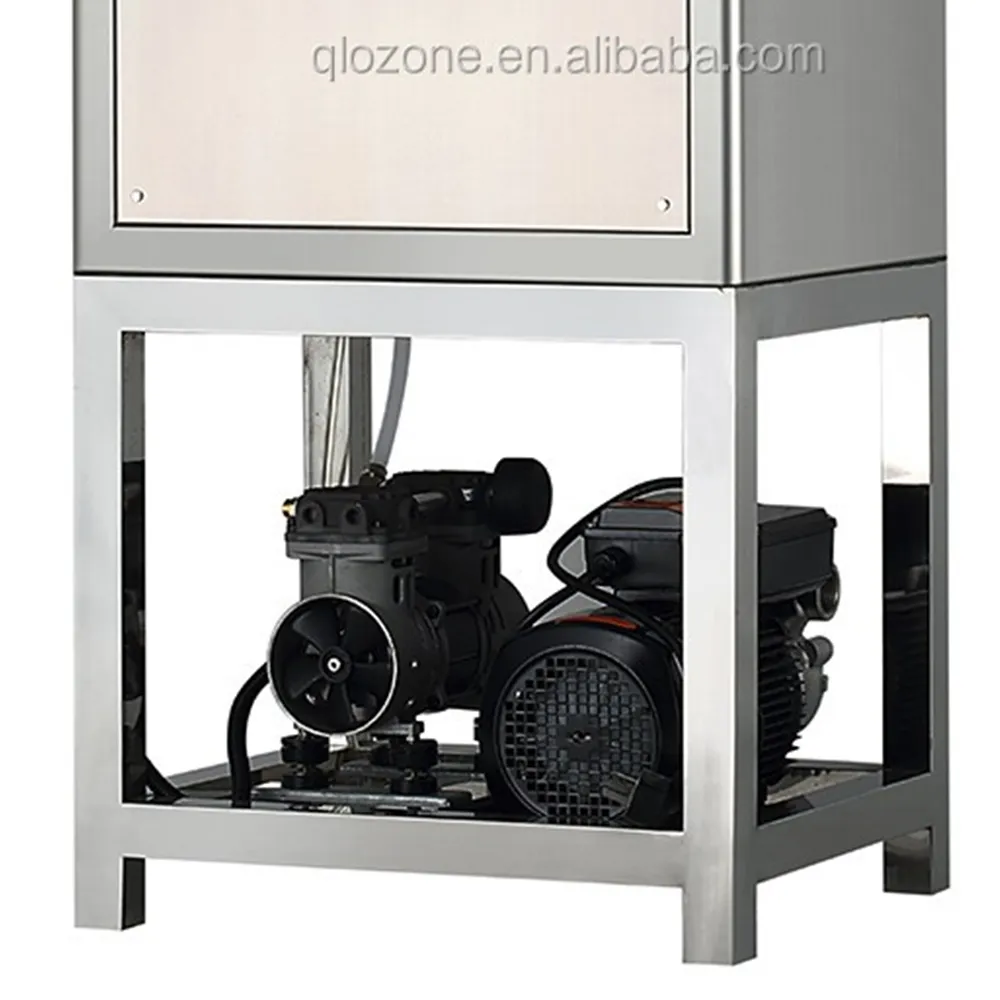 gas liquid ozone mixing pump