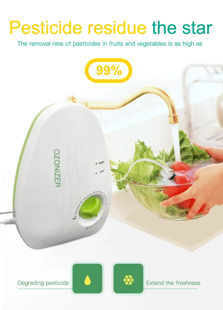 ozone generator for vegetable washing