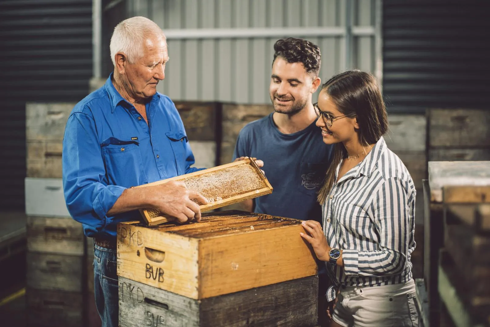 Ozone is used in beehives