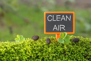 The difference between ozone generator and air purifier